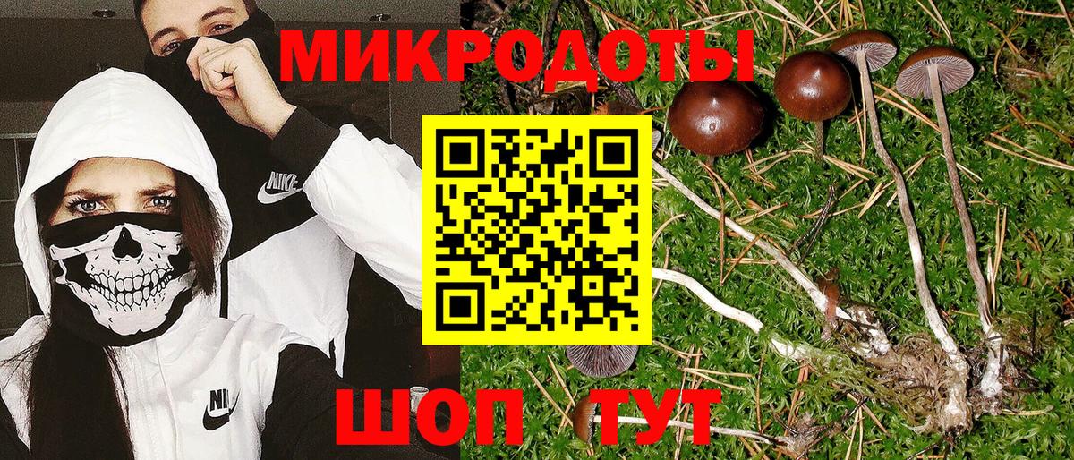 купить наркоту  Вход с VPN  Верхний Уфалей  Галлюциногенные грибы Cubensis 